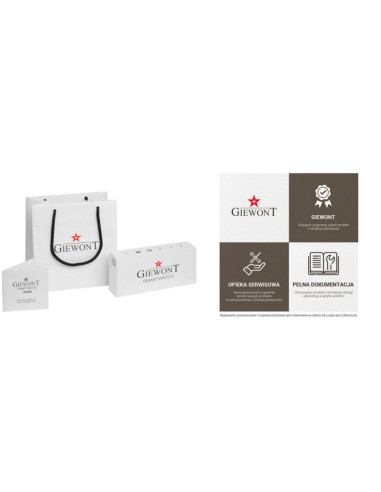 Smartwatch giewont vertex smartcall gw450-5 silver/carbon leather