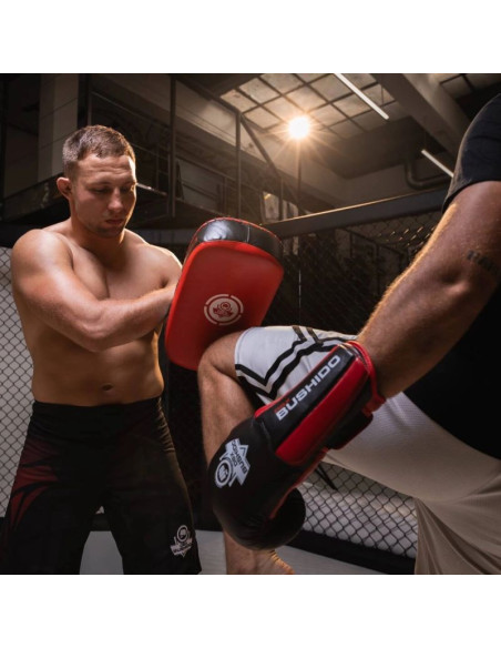 Tarcza treningowa pao ze skóry naturalnej