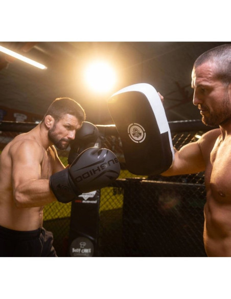 Tarcza treningowa pao ze skóry naturalnej