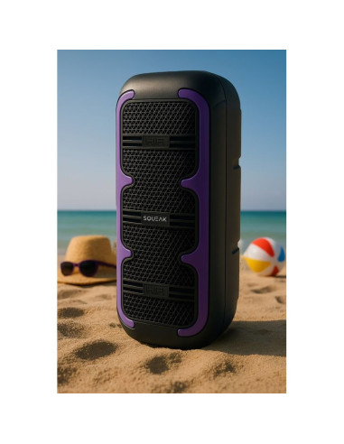 Squeak głośnik karaoke beatone bluetooth 5.3, 45w radio fm, microsd, aux, usb, usb-c sq1009