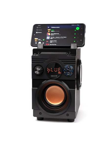 Squeak głośnik bassblaster bluetooth 5.1, radio fm, odtwarzacz mp3 sq1001