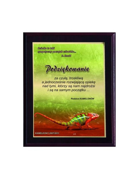 Dyplom z tworzywa sztucznego z laminatem colour touch