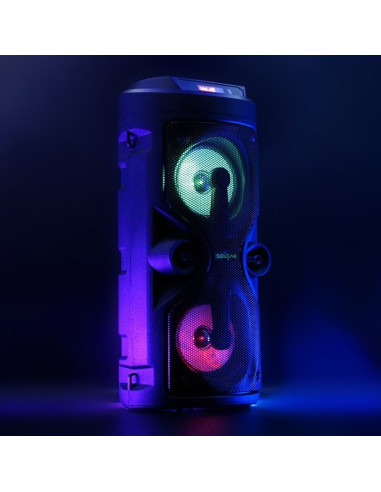 Squeak głośnik karaoke harmony bluetooth 5.0, radio fm, microsd, aux, usb sq1004