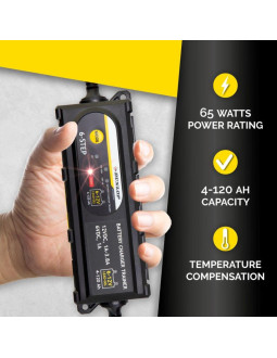 Prostownik do akumulatorów dunlop 3,8a