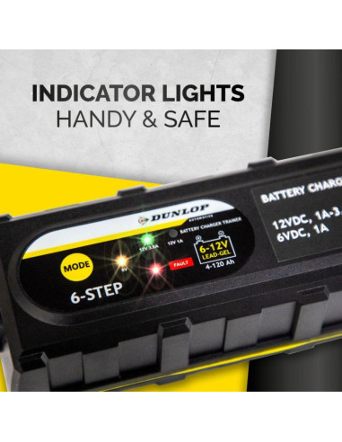 Prostownik do akumulatorów dunlop 3,8a