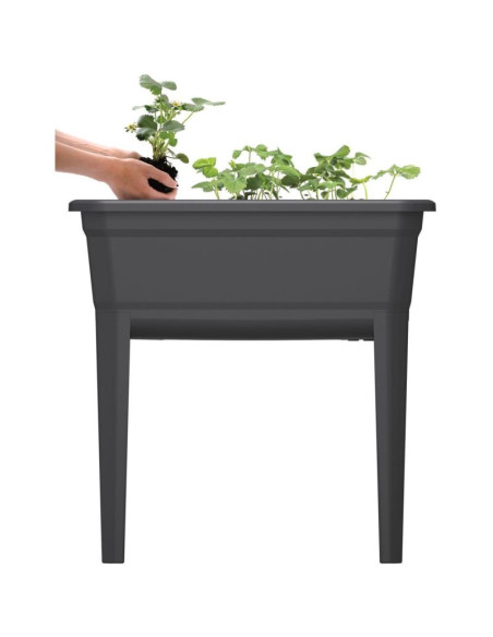 Szklarnia stojąca rozsadnik respana set ecoline 59,6x36,8x75,3cm antracyt