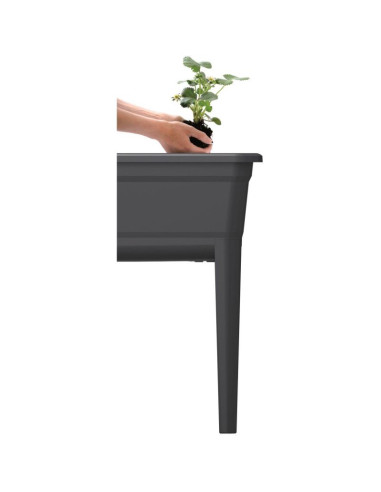 Szklarnia stojąca rozsadnik respana set ecoline 59,6x36,8x75,3cm antracyt