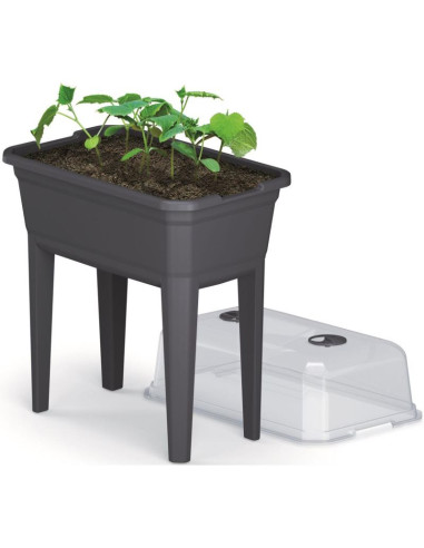 Szklarnia stojąca rozsadnik respana set ecoline 59,6x36,8x75,3cm antracyt