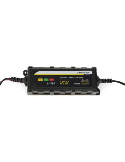 Prostownik do akumulatorów dunlop 2