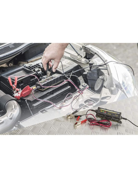 Prostownik do akumulatorów dunlop