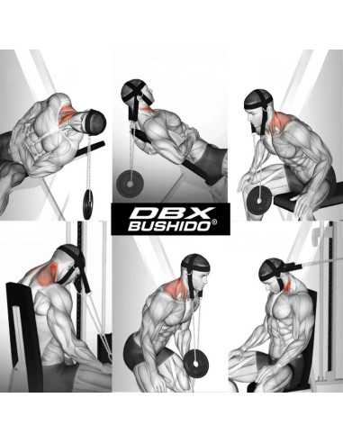 Korona karku uprząż na szyję  - pro neck harness