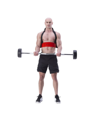 Przyrząd do ćwiczenia mięśni bicepsów arm blaster hms abx02 czerwony