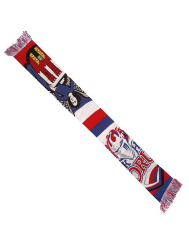 Szal kh toruń - herb miasta