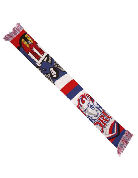 Szal kh toruń - herb miasta