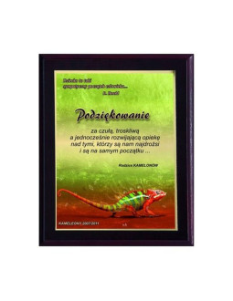 Dyplom z tworzywa sztucznego z laminatem colour touch 2