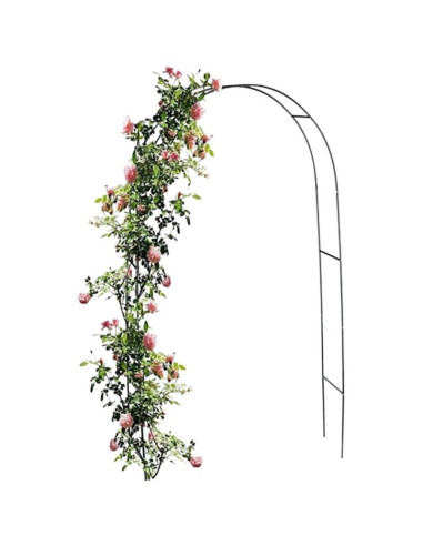 Brama pergola na róże kinzo