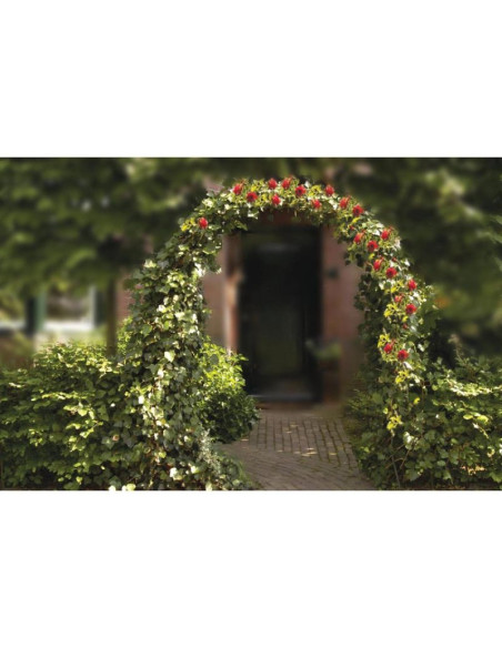 Brama pergola na róże kinzo