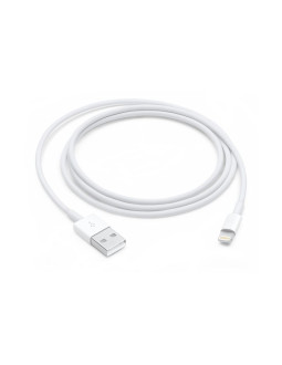 Apple lightning to usb cable (1m)