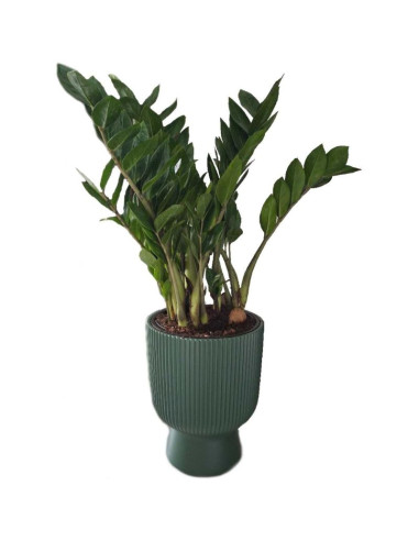 Doniczka do kwiatów milly na nodze śr 30cm biały