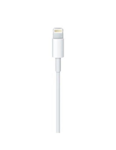 Lightning to usb cable (0.5 m)