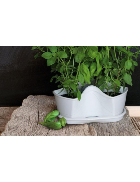 Ogród werykalny doniczka kaskada do ziół - grafit