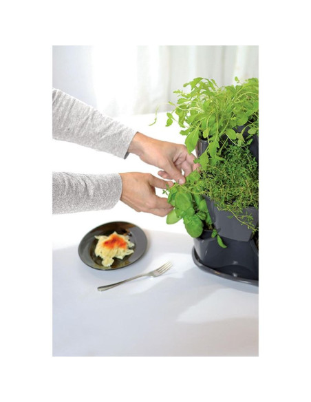 Ogród werykalny doniczka kaskada do ziół - grafit