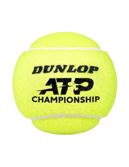Piłki do tenisa ziemnego dunlop atp championship 4 szt. 601628 2