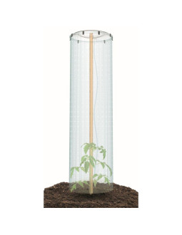 Folia pokrywa osłona szklarnia system nawadniania na doniczkę do pomidorów 2