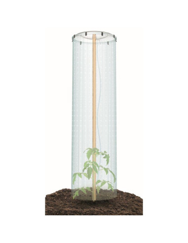 Folia pokrywa osłona szklarnia system nawadniania na doniczkę do pomidorów