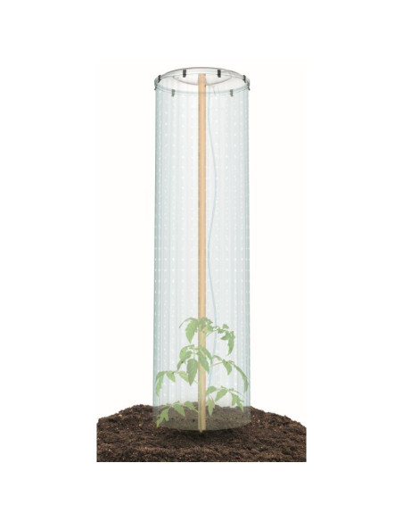 Folia pokrywa osłona szklarnia system nawadniania na doniczkę do pomidorów