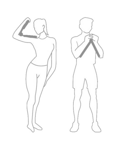 Agrafka motylek depandor xqmax niebieski