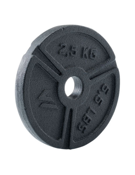 Talerz weight plate 2,5kg