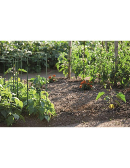 Podpora do roślin floo supports śr. 25 i 35cm zielony leśny