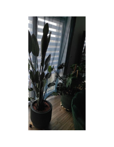 Doniczka do kwiatów milly śr 24cm miedziany