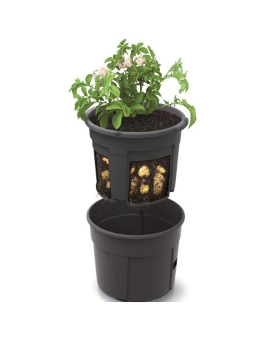 Doniczka do sadzenia ziemniaków śr 29,5cm