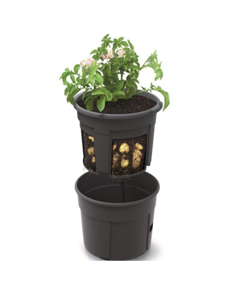 Doniczka do sadzenia ziemniaków śr 29,5cm