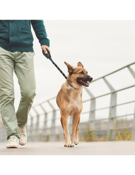 Smycz dla psa 150x1,2cm z pojemnikiem