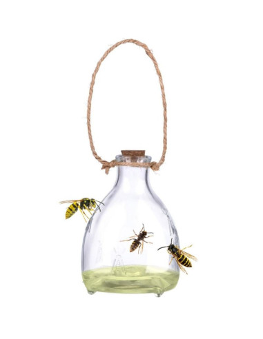 Pułapka na osy szklana 2szt kinzo