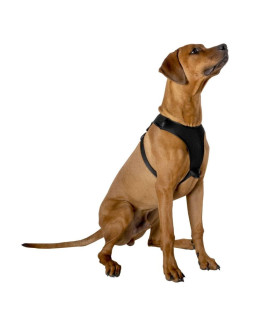 Szelki dla psa 67,6-106,5cm