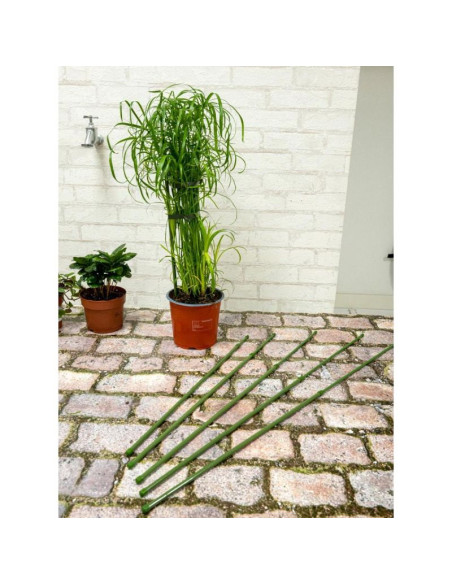 Podpora tyczka do roślin 6szt 50-80cm kinzo