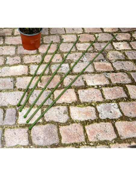 Podpora tyczka do roślin 6szt 50-80cm kinzo