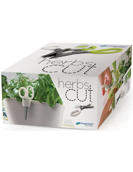 Nożyczki do ziół herbs cut