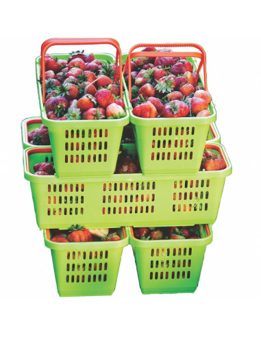 Koszyk plastikowy na owoce i warzywa ażurowy z rączką