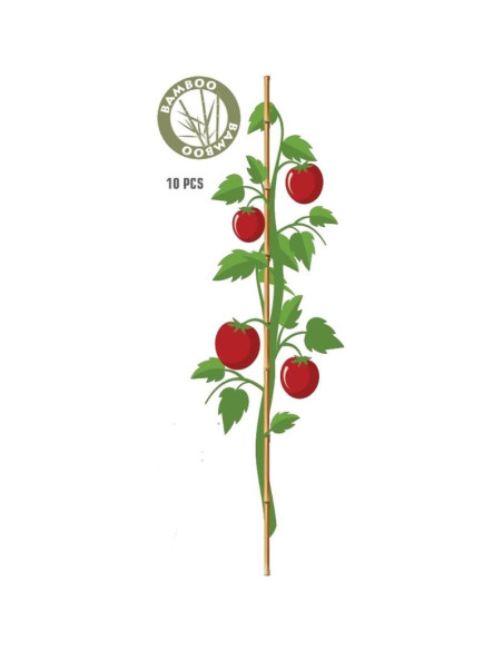 Podpora do roślin 60cm bambus 10szt progarden