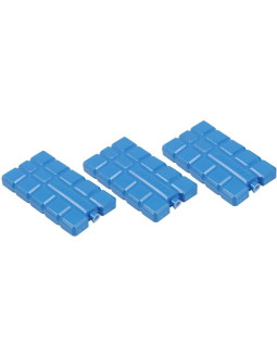 Wkład do lodówki 3x200gr