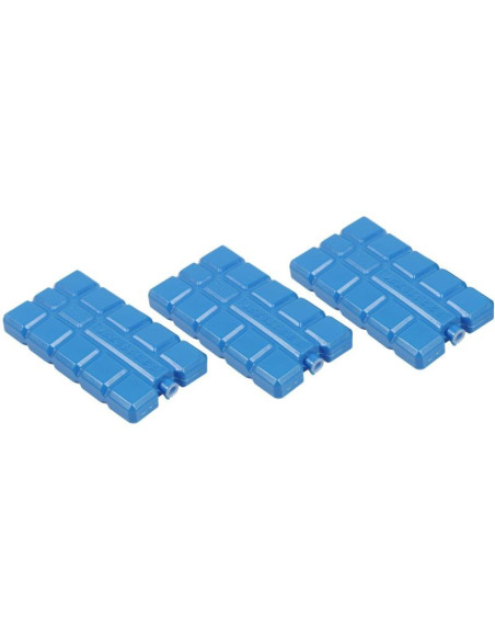 Wkład do lodówki 3x200gr