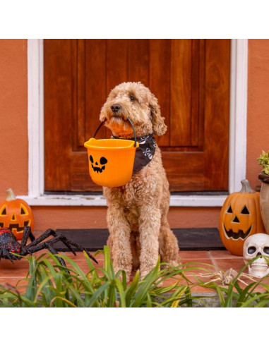 Wiadro na cukierki halloween 17cm