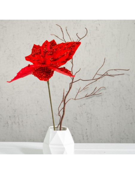 Gwiazda betlejemska 30cm