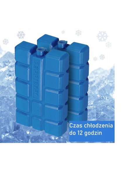 Wkład do lodówki 2x200gr