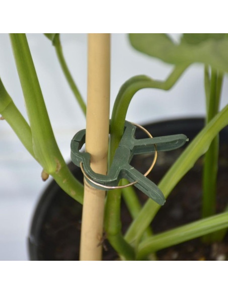 Spinki klipsy do roślin 20szt progarden